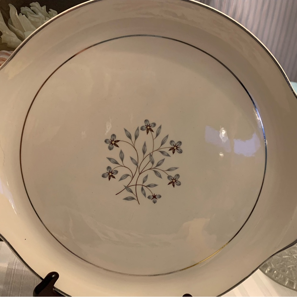 Vintage Salem China “Castlewood” Design Pattern w Delicate Blue Flowers Silver